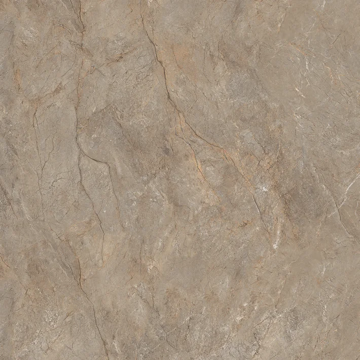 Lotus porcelain tile surface