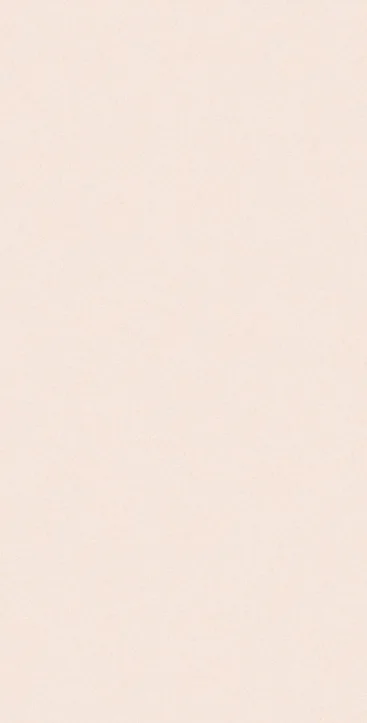 Palma porcelain tile surface