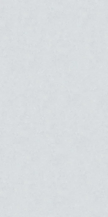 Silvia Grey porcelain tile surface