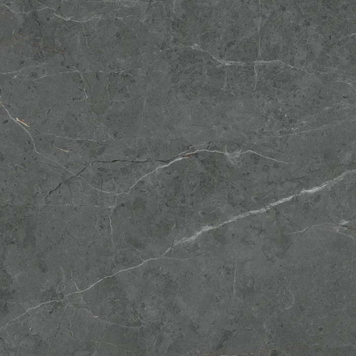 Élégant Gris