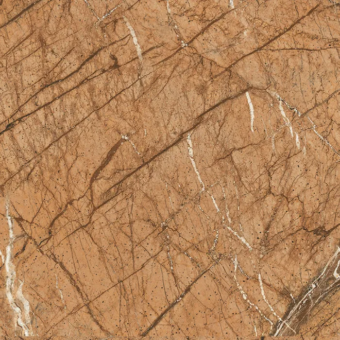Rain Forest Brown